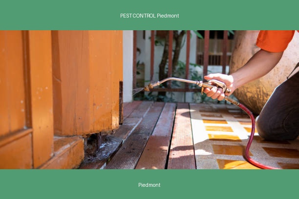 PEST CONTROL Piedmont